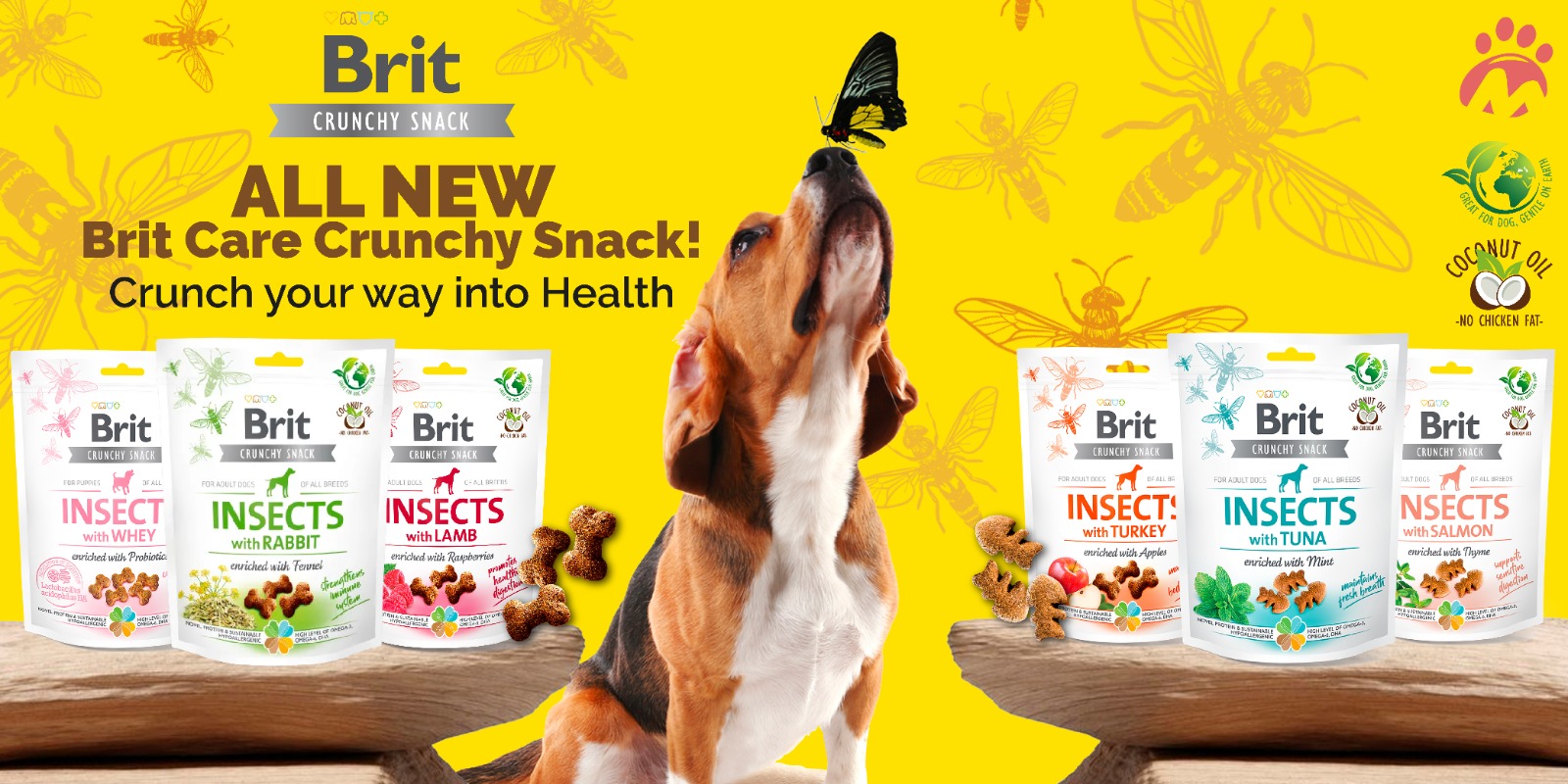 Britcare-insect-series-dog-treats